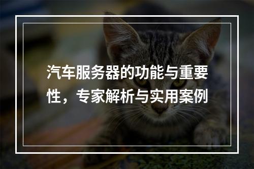 汽车服务器的功能与重要性,专家解析与实用案例