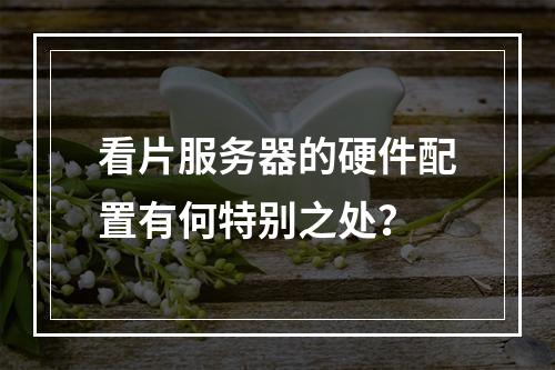 看片服务器的硬件配置有何特别之处?