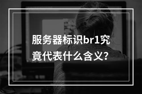 服务器标识br1究竟代表什么含义?