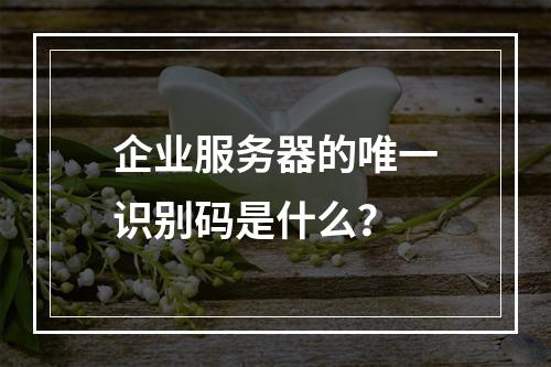 企业服务器的唯一识别码是什么?