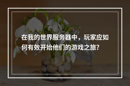在我的世界服务器中,玩家应如何有效开始他们的游戏之旅?