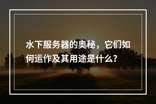 水下服务器的奥秘,它们如何运作及其用途是什么?