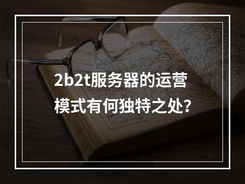 2b2t服务器的运营模式有何独特之处?