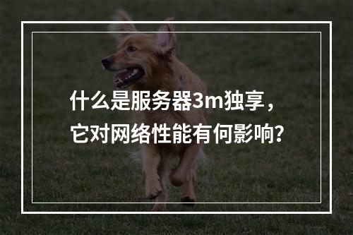 什么是服务器3m独享,它对网络性能有何影响?