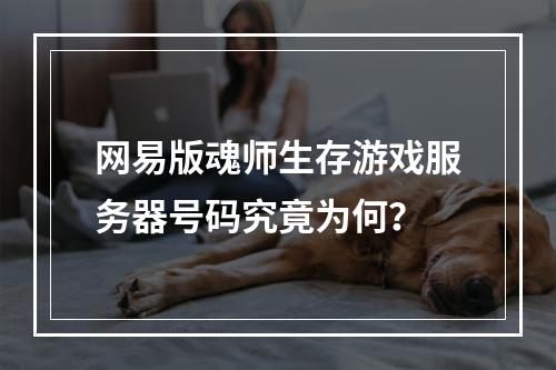 网易版魂师生存游戏服务器号码究竟为何?