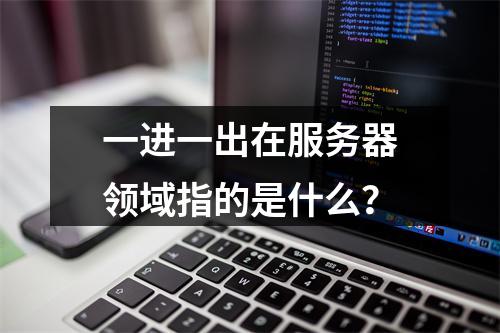 一进一出在服务器领域指的是什么?