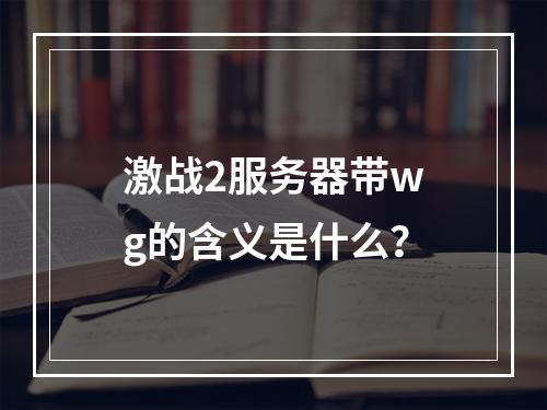 激战2服务器带wg的含义是什么?