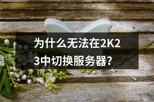 为什么无法在2K23中切换服务器?