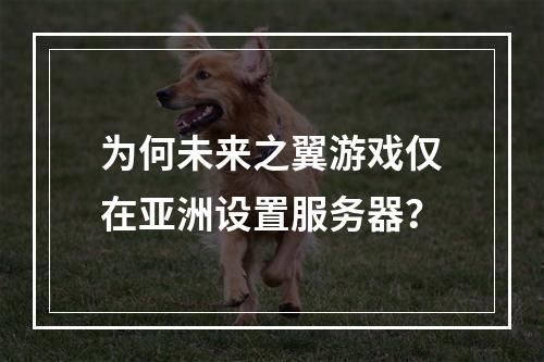 为何未来之翼游戏仅在亚洲设置服务器?