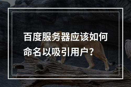 百度服务器应该如何命名以吸引用户?