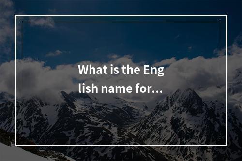 What is the English name for the subway escape server?