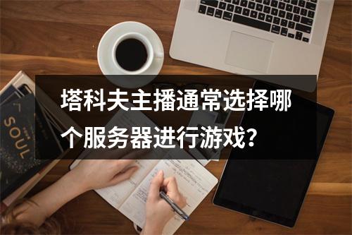 塔科夫主播通常选择哪个服务器进行游戏?