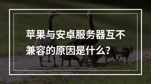 苹果与安卓服务器互不兼容的原因是什么?