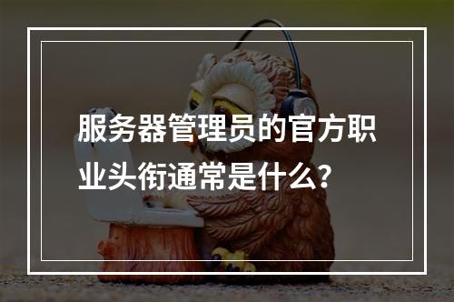 服务器管理员的官方职业头衔通常是什么?