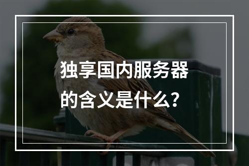 独享国内服务器的含义是什么?