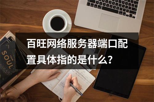 百旺网络服务器端口配置具体指的是什么?