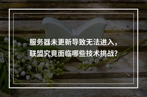 服务器未更新导致无法进入,联盟究竟面临哪些技术挑战?