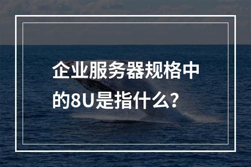 企业服务器规格中的8U是指什么?
