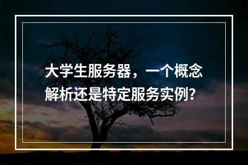 大学生服务器,一个概念解析还是特定服务实例?