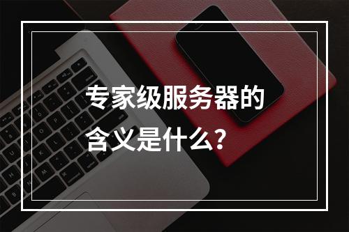 专家级服务器的含义是什么?
