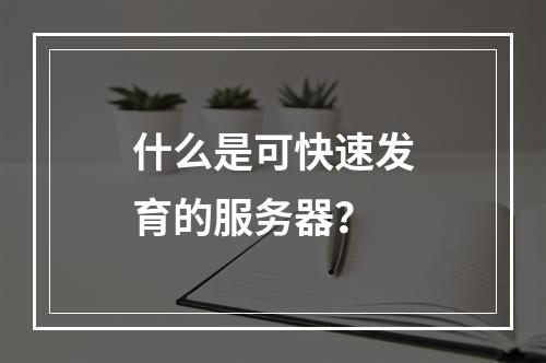 什么是可快速发育的服务器?