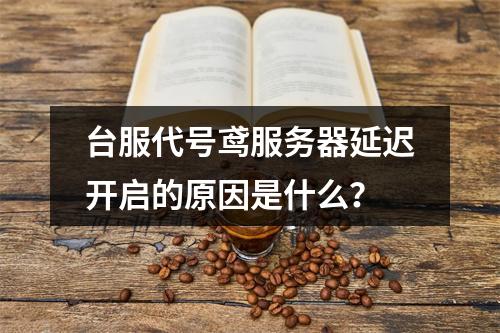 台服代号鸢服务器延迟开启的原因是什么?
