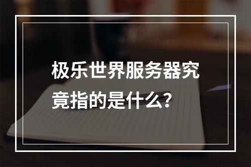 极乐世界服务器究竟指的是什么?