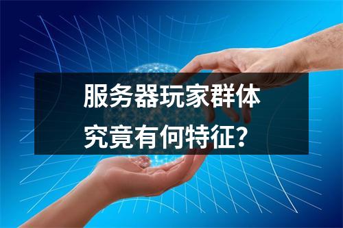 服务器玩家群体究竟有何特征?