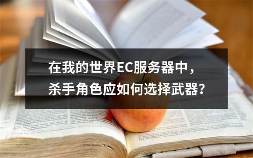 在我的世界EC服务器中,杀手角色应如何选择武器?