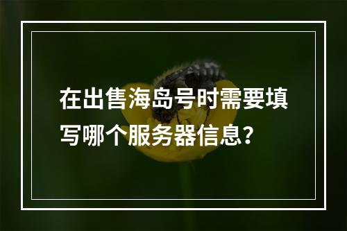 在出售海岛号时需要填写哪个服务器信息?