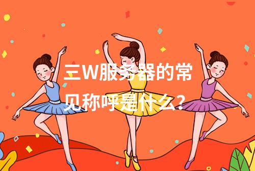 三W服务器的常见称呼是什么?