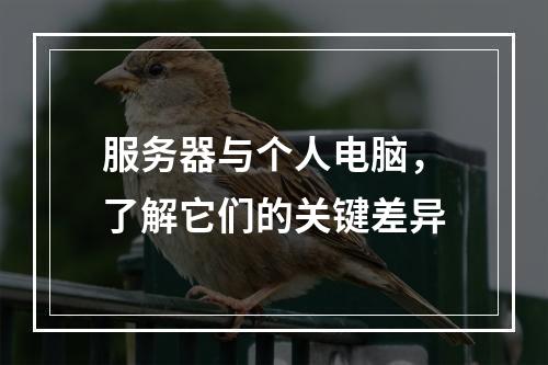 服务器与个人电脑,了解它们的关键差异