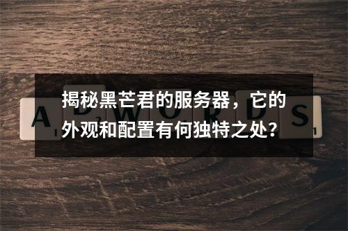 揭秘黑芒君的服务器,它的外观和配置有何独特之处?