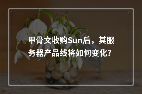 甲骨文收购Sun后,其服务器产品线将如何变化?