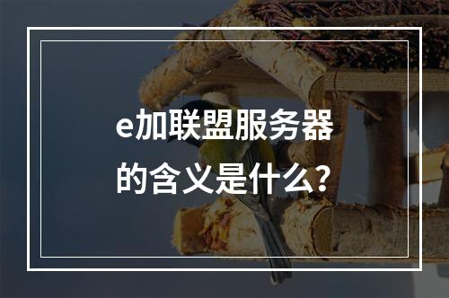 e加联盟服务器的含义是什么?