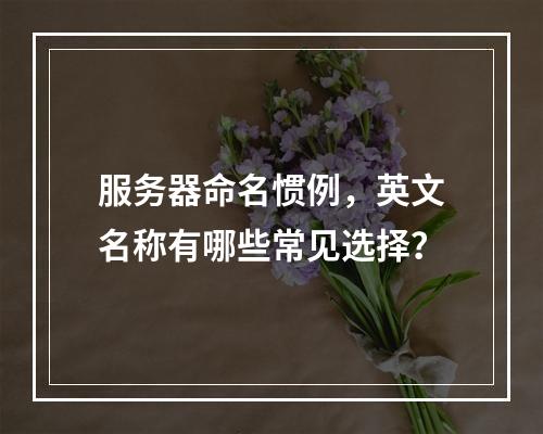 服务器命名惯例,英文名称有哪些常见选择?