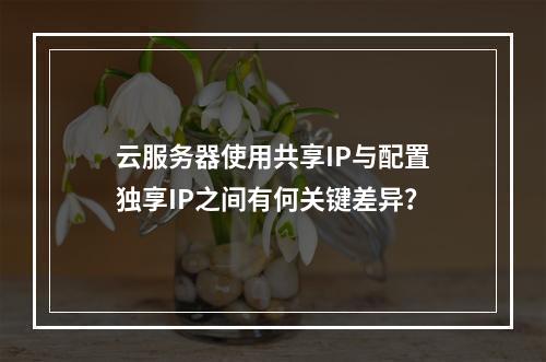 云服务器使用共享IP与配置独享IP之间有何关键差异?