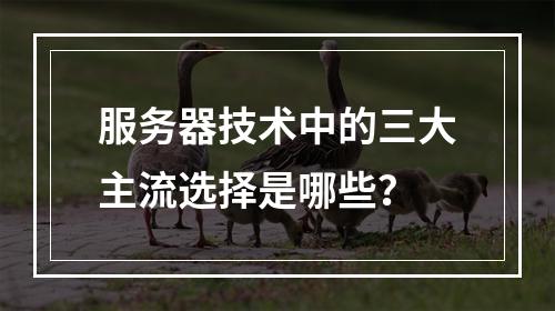 服务器技术中的三大主流选择是哪些?