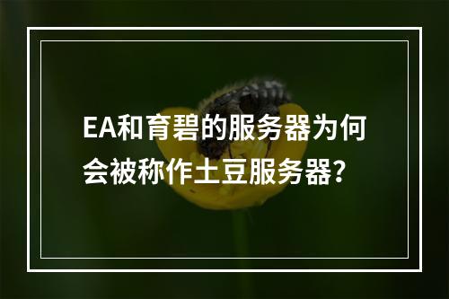 EA和育碧的服务器为何会被称作土豆服务器?