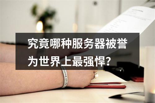 究竟哪种服务器被誉为世界上最强悍?