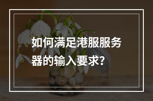 如何满足港服服务器的输入要求?