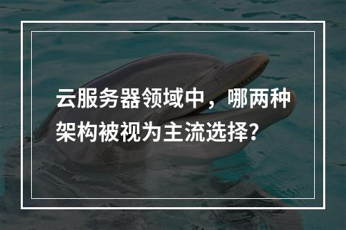 云服务器领域中,哪两种架构被视为主流选择?