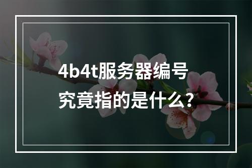 4b4t服务器编号究竟指的是什么?