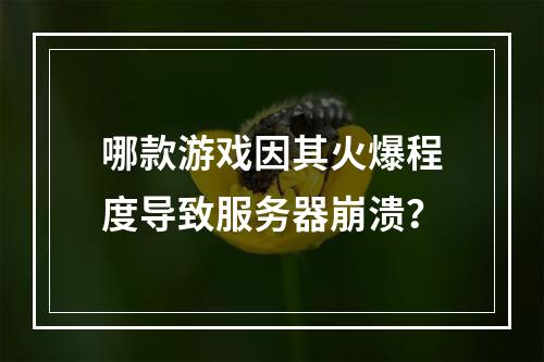 哪款游戏因其火爆程度导致服务器崩溃?