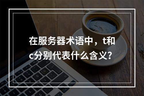 在服务器术语中,t和c分别代表什么含义?