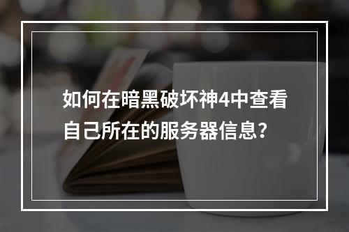 如何在暗黑破坏神4中查看自己所在的服务器信息?
