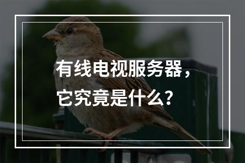 有线电视服务器,它究竟是什么?