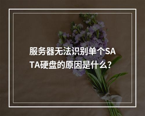 服务器无法识别单个SATA硬盘的原因是什么?