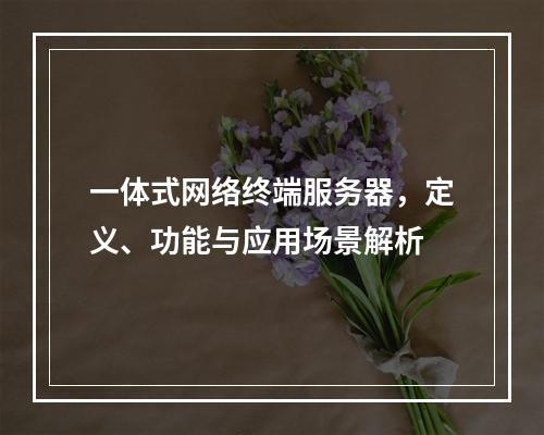 一体式网络终端服务器,定义、功能与应用场景解析