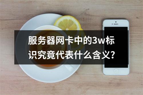 服务器网卡中的3w标识究竟代表什么含义?